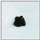 CHELSEA WOLFE Hiss Spun 2LP